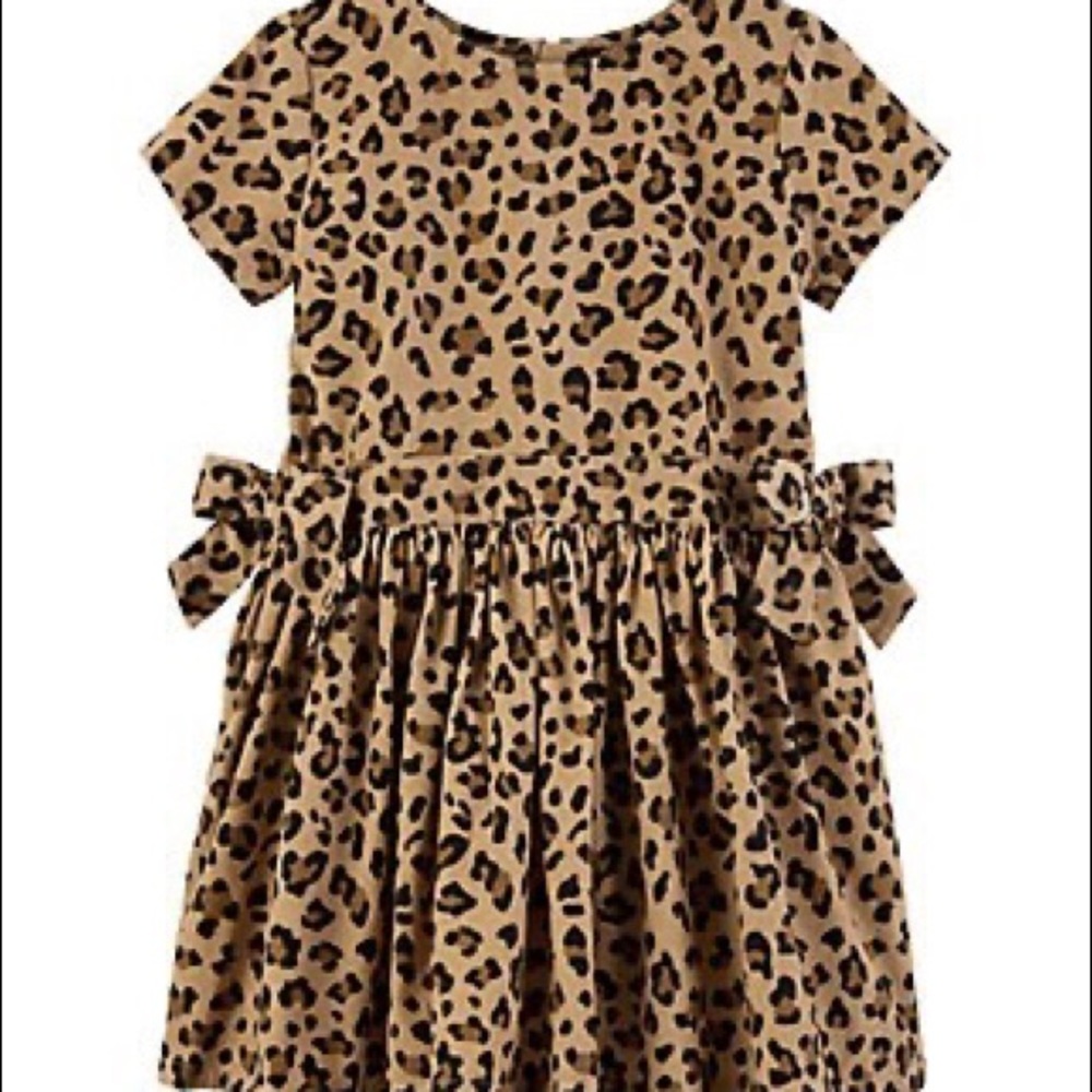 Carter’s Dress